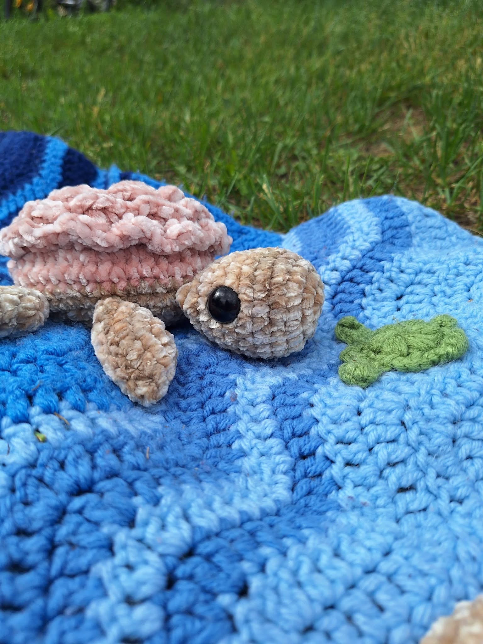 Flower Turtle